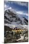 Tents of Mountaineers Scattered Along Khumbu Glacier, Base Camp, Mt Everest, Nepal-David Noyes-Mounted Photographic Print