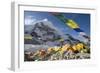 Tents of Mountaineers Scattered Along Khumbu Glacier, Base Camp, Mt Everest, Nepal-David Noyes-Framed Photographic Print