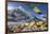 Tents of Mountaineers Scattered Along Khumbu Glacier, Base Camp, Mt Everest, Nepal-David Noyes-Framed Photographic Print