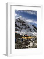 Tents of Mountaineers Scattered Along Khumbu Glacier, Base Camp, Mt Everest, Nepal-David Noyes-Framed Photographic Print