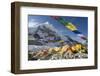 Tents of Mountaineers Scattered Along Khumbu Glacier, Base Camp, Mt Everest, Nepal-David Noyes-Framed Premium Photographic Print