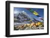 Tents of Mountaineers Scattered Along Khumbu Glacier, Base Camp, Mt Everest, Nepal-David Noyes-Framed Premium Photographic Print