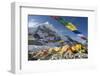 Tents of Mountaineers Scattered Along Khumbu Glacier, Base Camp, Mt Everest, Nepal-David Noyes-Framed Premium Photographic Print