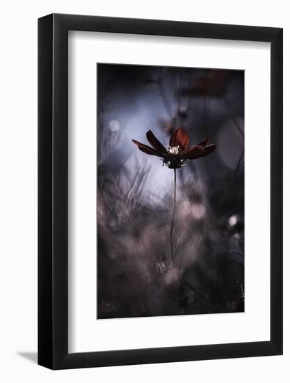 Tenue de soirA©e-Fabien BRAVIN-Framed Photographic Print