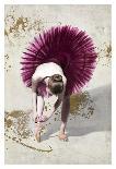 Purple Ballerina-Teo Rizzardi-Stretched Canvas