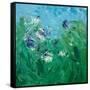 Canvas Black