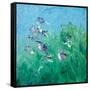 Canvas Black