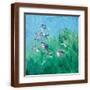 Brown Frame