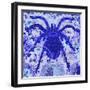 Black Frame