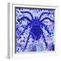 White Frame