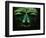 Teotihuacan Mosaic Sculpture Mask-Randy Faris-Framed Photographic Print