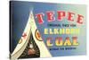 Tepee Elkhorn Coal-null-Stretched Canvas