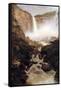 Tequendama Falls, Near Bogota, New Granada-Frederic Edwin Church-Framed Stretched Canvas