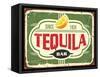 Tequila Bar Vintage Tin Sign for Mexican Traditional Alcohol Drink-lukeruk-Framed Stretched Canvas