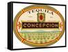 Tequila Concepcion-null-Framed Stretched Canvas