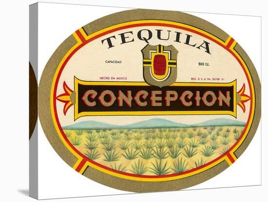 Tequila Concepcion-null-Stretched Canvas