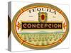 Tequila Concepcion-null-Stretched Canvas