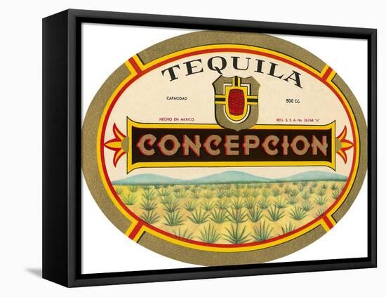 Tequila Concepcion-null-Framed Stretched Canvas