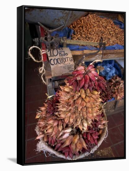 Tequila Fruit for Sale on a Stall in Mexico, North America-Michelle Garrett-Framed Stretched Canvas