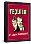 Tequila It's A Special Kind Of Stupid Funny Retro Poster-null-Framed Poster
