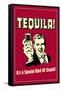 Tequila It's A Special Kind Of Stupid Funny Retro Poster-Retrospoofs-Framed Stretched Canvas