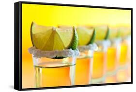 Tequila , Lime and Salt-igorr-Framed Stretched Canvas