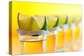 Tequila , Lime and Salt-igorr-Stretched Canvas