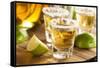 Tequila Shots with Lime and Salt-bhofack22-Framed Stretched Canvas