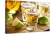 Tequila Shots with Lime and Salt-bhofack22-Stretched Canvas