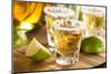 Tequila Shots with Lime and Salt-bhofack22-Mounted Photographic Print