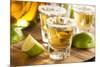 Tequila Shots with Lime and Salt-bhofack22-Mounted Photographic Print