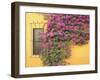 Tequisquipan, Queretaro State, Mexico, North America-Wendy Connett-Framed Photographic Print