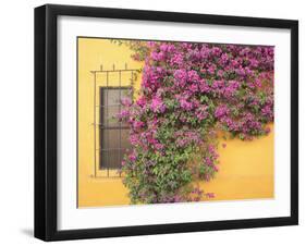 Tequisquipan, Queretaro State, Mexico, North America-Wendy Connett-Framed Photographic Print