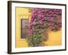 Tequisquipan, Queretaro State, Mexico, North America-Wendy Connett-Framed Photographic Print