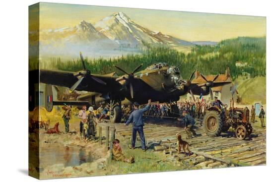 Stretched Canvas Print, , large