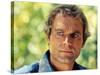 Terence Hill-null-Stretched Canvas