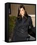 Teri Hatcher-null-Framed Stretched Canvas