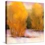 Stretched Canvas