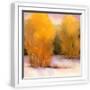 White Frame