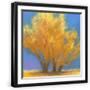 Black Frame