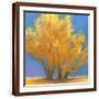 Brown Frame