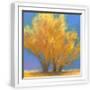 White Frame
