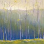Deep Woods in Autumn-Teri Jonas-Framed Giclee Print