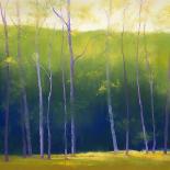 Deep Woods in Summer-Teri Jonas-Stretched Canvas