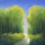 Deep Woods in Summer-Teri Jonas-Stretched Canvas