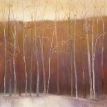 Deep Woods in Summer-Teri Jonas-Stretched Canvas