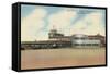 Terminal, Des Moines Airport, Iowa-null-Framed Stretched Canvas