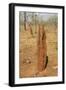Termite Hills in Gregory National Park, Northern Territory, Australia, Pacific-Tony Waltham-Framed Photographic Print