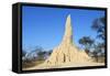 Termite Mound-null-Framed Stretched Canvas