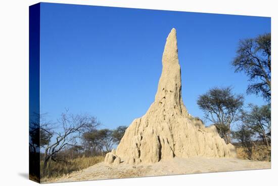 Termite Mound-null-Stretched Canvas